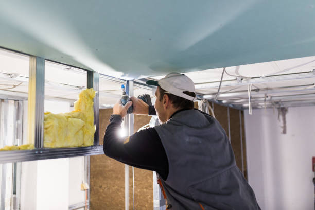 Best DIY Insulation Kits and Guidance in Suffolk, VA