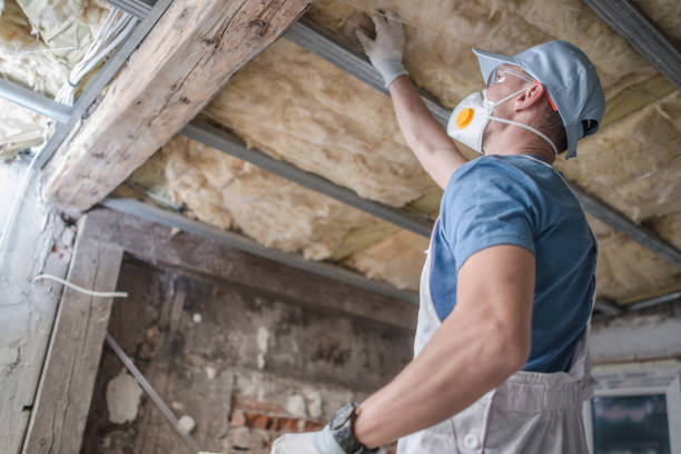 Types of Insulation We Offer in Suffolk, VA